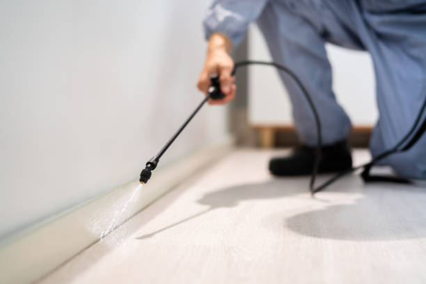 Licensed Pest Control service in Moses Lake North, WA - Show Me Pest Control