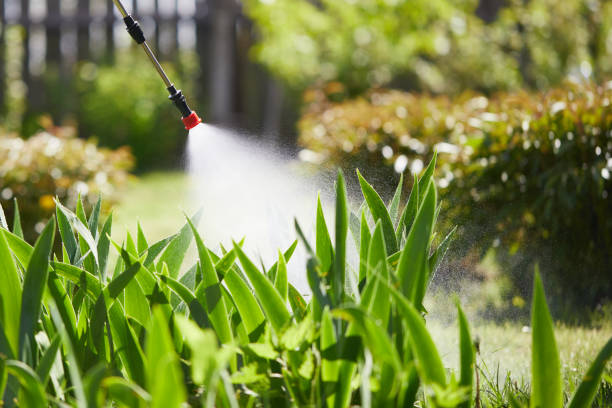24/7 Emergency Wasp Removal experts in Moses Lake North, WA