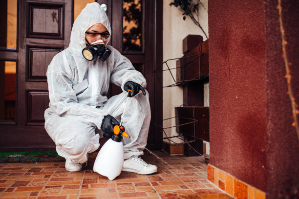 Reliable Wasp Removal contractor in Moses Lake North, WA by Show Me Pest Control